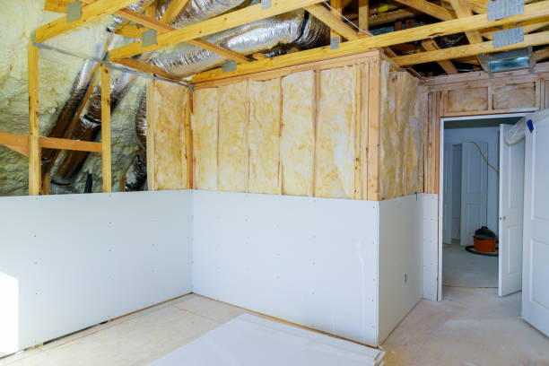 Best Spray Foam Insulation  in Lavaca, AR