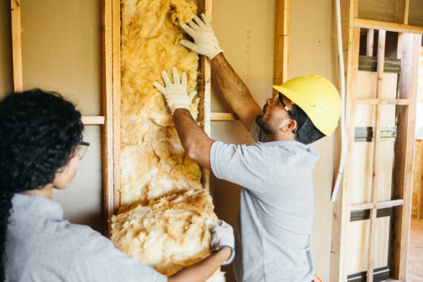 Best Local Insulation Services  in Lavaca, AR