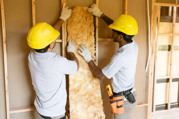 Best Attic Insulation Installation  in Lavaca, AR