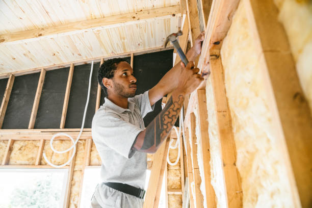 Best Crawl Space Insulation  in Lavaca, AR